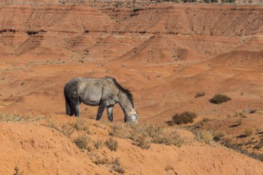 Arizona, ABD 'deki Monument Valley Ulusal Parkı