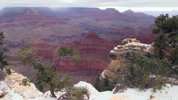 Arizona 'daki Grand Canyon Ulusal Parkı, ABD — Stok video