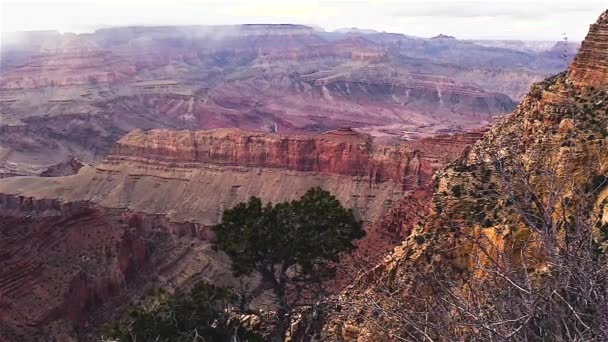 Parque Nacional del Gran Cañón en Arizona, Estados Unidos — Vídeo de stock