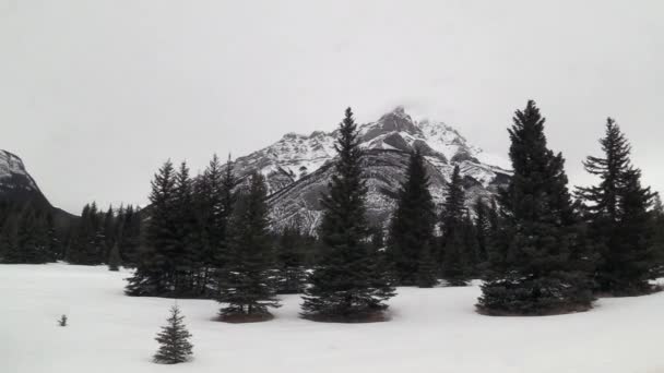 Montanhas Rochosas no inverno — Vídeo de Stock