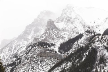 Kışın Rocky Dağları