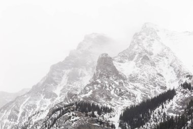 Kışın Rocky Dağları