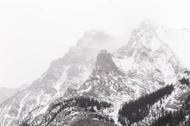 Kışın Rocky Dağları