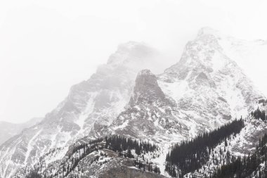 Kışın Rocky Dağları