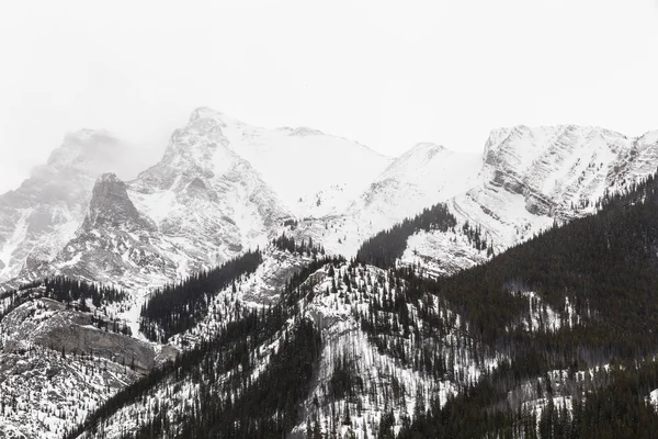The Rocky Mountains in winter — Stock Photo, Image