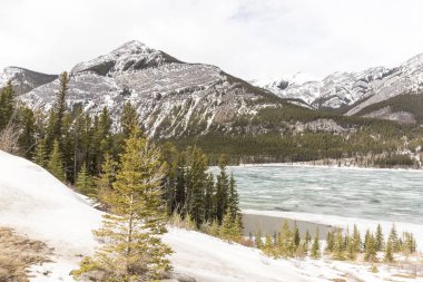 Rocky Dağları manzara