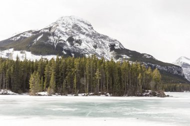 Rocky Dağları manzara