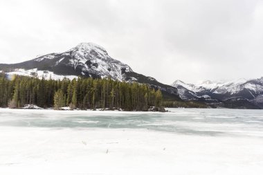 Rocky Dağları manzara
