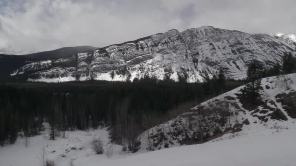 The Rocky Mountains on a sunny day — Stock Video