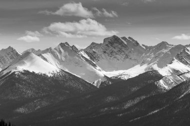 Kayalık dağ manzarası