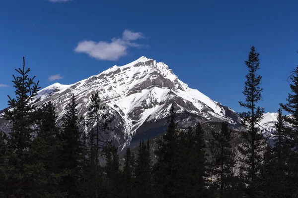 Kayalık dağ manzarası — Stok fotoğraf