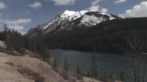De Rocky Mountains op een heldere, zonnige dag — Stockvideo