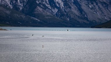 Aydınlık ve güneşli bir günde Rocky Dağları
