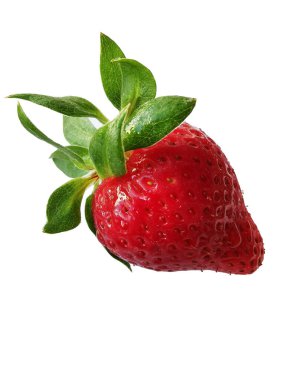 Beyaz arka planda tek kişilik taze çilek.