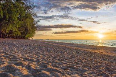  Tayland Denizi 'ndeki güzel çam ağaçları kumsalında gün batımında kumlara yansıyan güzel yansımalarla.