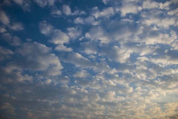 sky scene full of altocumulus clouds or mackerel sky.
