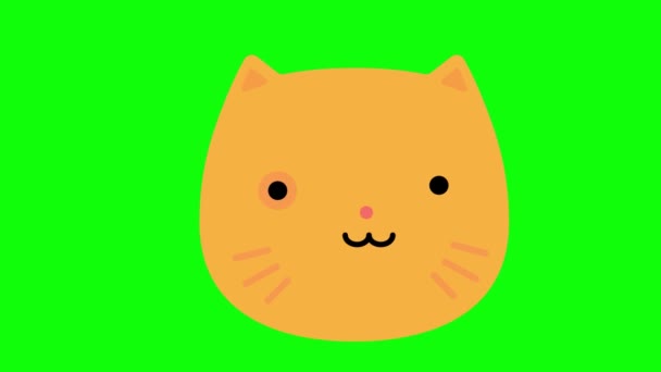 Hermosa Pantalla Verde Elemento Mascota Gato — Vídeo de stock