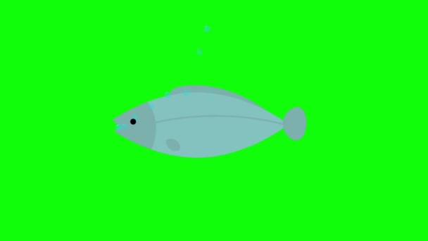 Όμορφη Πράσινη Οθόνη Κατοικίδιο Ζώο Στοιχείο Ψάρια — Αρχείο Βίντεο