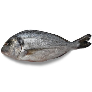 Balık, Güzel Yemek, Yüksek Kalite