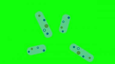 Yeşil ekran, korona virüsü, covid-19