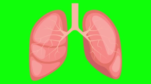 緑の画面コロナウイルス肺 — ストック動画