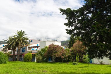 Karadağ 'ın güzel manzaraları. Tropikal ağaçlar eski ve modern mimariyle birleşir. Budva ve Kotorsk ile seyahat.