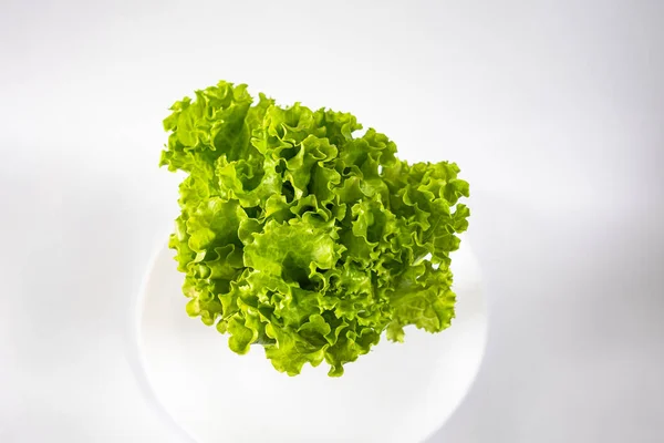 Fresh green lettuce leaves isolated on a white background.