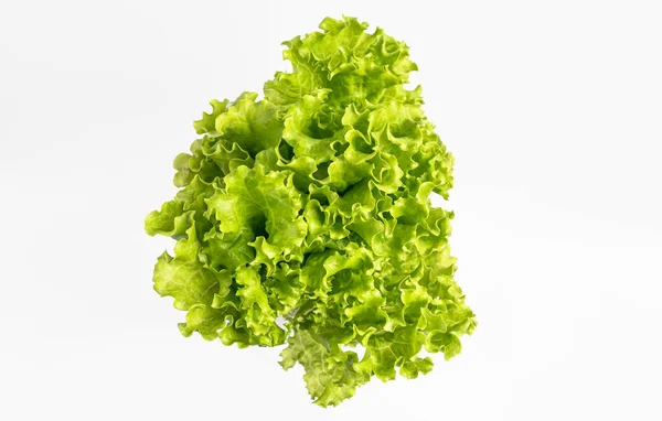 Fresh Green Lettuce Leaves Isolated White Background — ストック写真