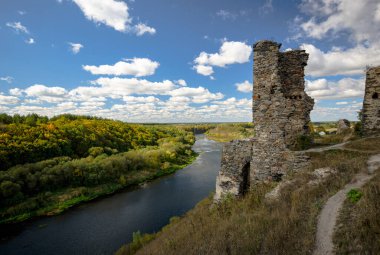 Sıcak bir yaz gününde güzel bir nehir ve orman manzarası..