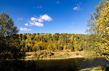 Sıcak bir yaz gününde güzel bir nehir ve orman manzarası..