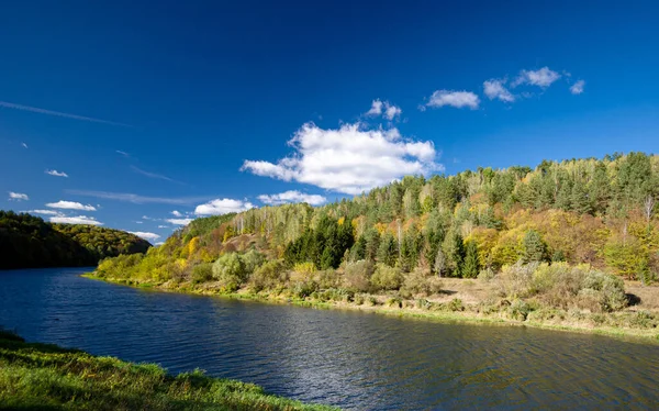 Schöne Aussicht Auf Fluss Und Wald Einem Warmen Sommertag — Stockfoto