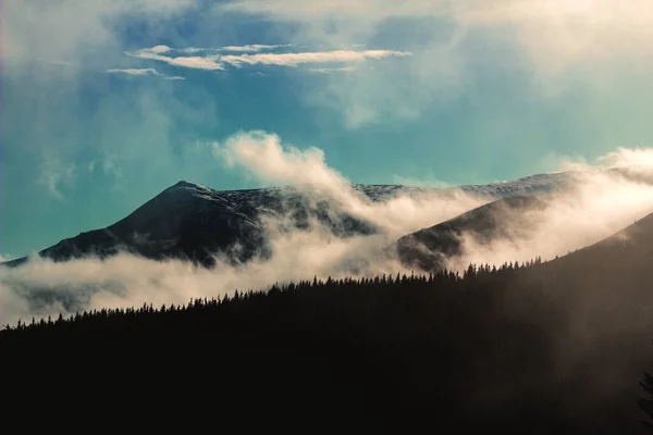 Ködös hegyi táj látható fa sziluettekkel. — Stock Fotó