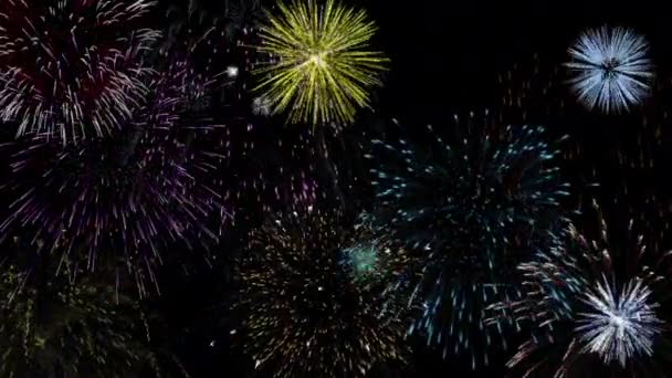 Fogos de artifício coloridos no céu noturno — Vídeo de Stock