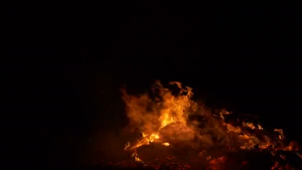 Пожежне палаюче полум'я на чорному тлі — стокове відео