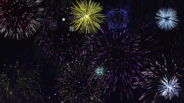 Fuegos artificiales de colores en el cielo nocturno — Vídeos de Stock