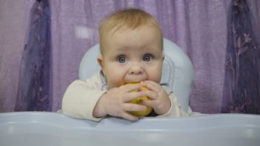 Küçük bir çocuk limonu tadıyor.