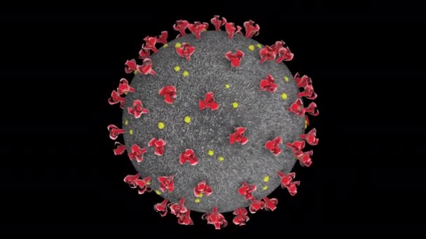 Coronavirus SARS-CoV-2 2019-nCoV su nero BG — Video Stock