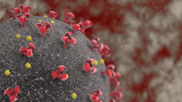 Coronavirus 세포 의 Macro 애니메이션, 내부 장기 공격. — 비디오