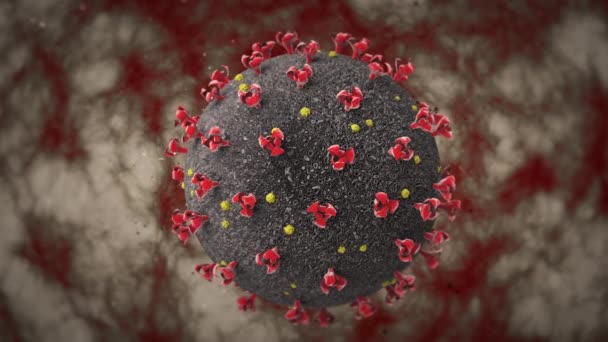 Macro-animation des cellules du coronavirus, attaquant les organes internes . — Video