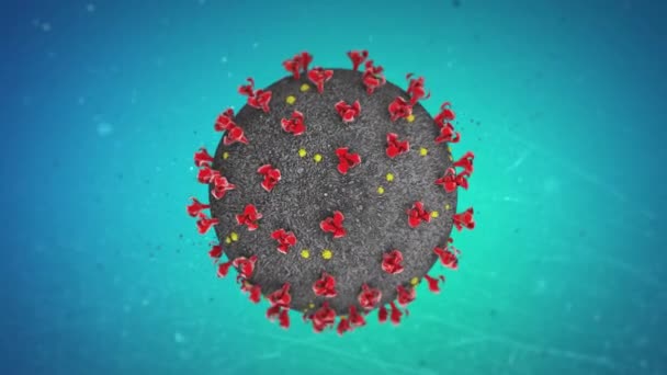 Coronavirus struktur i mikroskop. Virus bakterier i närbild — Stockvideo