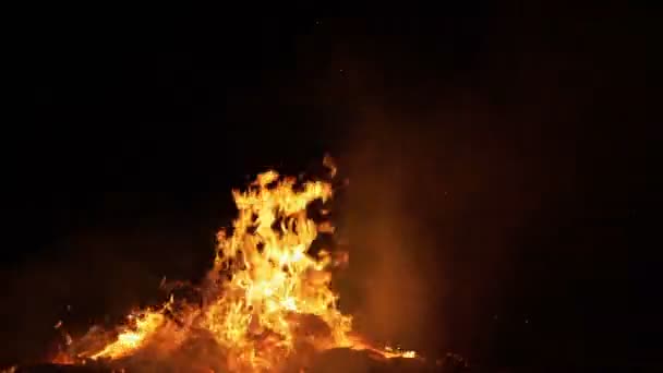 Fuego ardiente y lenguas de llama sobre un fondo negro — Vídeo de stock