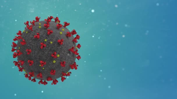 Coronavirus SARS-CoV-2 2019-nCoV na černé BG — Stock video