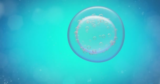 Cellule humaine au microscope 