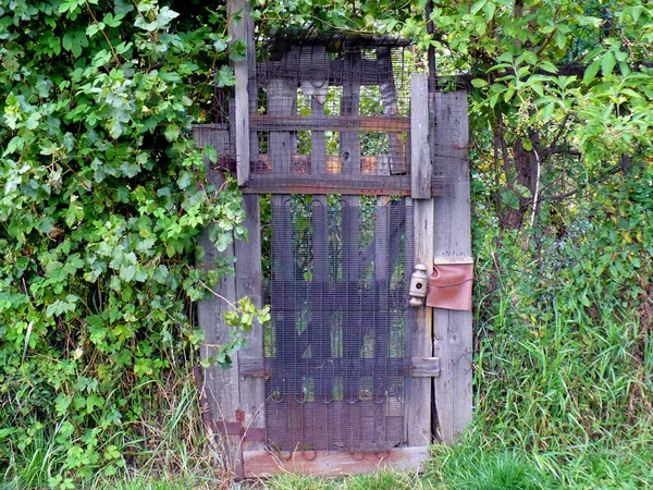 Puerta Hierro Metal Jardín Marrón Puertas Misteriosas Madera Jardín Verde — Foto de Stock