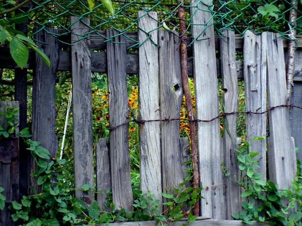 Podivný Starý Strašidelný Dřevěný Plot Retro Živý Plot Žlutými Květy — Stock fotografie