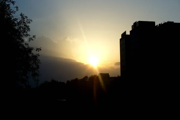 Zonsondergang Stad Gebouwen Donkere Schaduwen Zonlicht Boom Aan Linkerkant Gebouw — Stockfoto