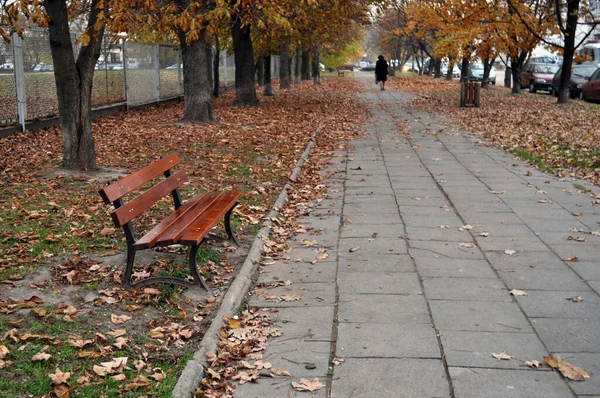 秋の公園の空のベンチ背景の男乾燥した葉は木の緑のフェンスから落ちる — ストック写真