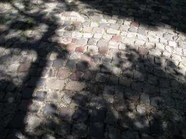 Asfalttaki karanlık gölge güneşli gün ışığı ağaçları gölgeliyor