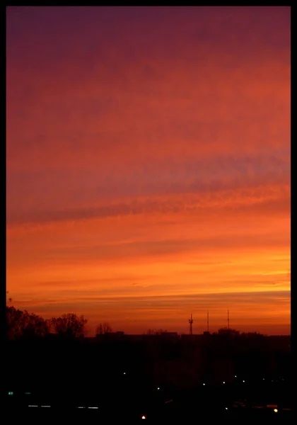 Rosa Roter Sonnenuntergang Über Der Stadt Rote Rosen Lila Orange — Stockfoto