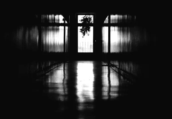 最後は黒と白の影の回廊の窓恐ろしい窓に吊るされた謎の植物 — ストック写真